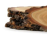 Queensland Ironbark Drink Coasters