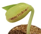 Message Bean