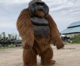 Ultra-Realistic Orangutan Costume