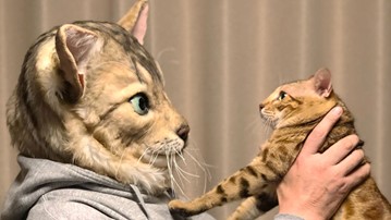 Become Your Cat Mask Become Your Cat Mask