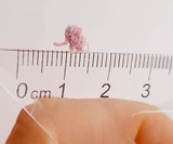Micro Crochet Animals