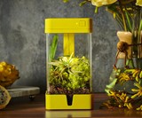 OrchidBox Smart Mini Terrarium