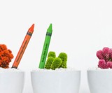 Offensive Crayons & Offensive Crayons Holiday Edition