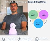 Breathing Buddha for Guided Visual Meditation