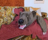 Giant Grizzly Bear Hide