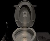 Pee-Litical Targets