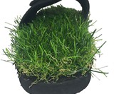 GrassSlides Real Turf Sandals