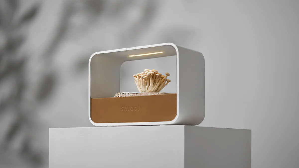 Shrooly Automatic Home Mushroom Grower Shrooly Automatic Home Mushroom Grower