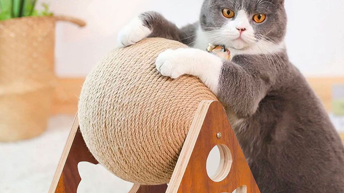 Spinning Cat Scratcher Ball Spinning Cat Scratcher Ball