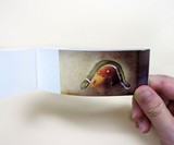 Japanese Flipbooks
