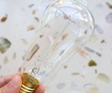 Edison Light Bulbs