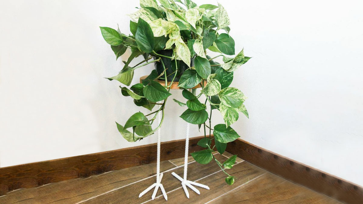 Bird Foot Plant Stand Bird Foot Plant Stand