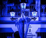 Flame Effect Light Bulbs
