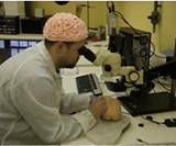 Brain Hat