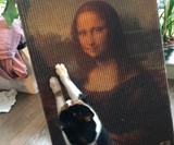 Copycat Art Scratcher - Famous Art Cat Scratchers