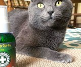 Meowijuana Catnip