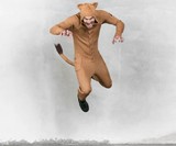 Blamo Adult Animal Onesies