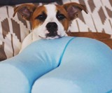 The Buttress Pillow
