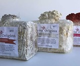 Mushroom Trio Grow Kit
