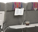 Mobile Device Seatback Mount