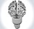 The Brain Bulb The Brain Bulb
