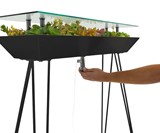 BloomingTables Living Furniture