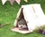 Hedgehog Carry House