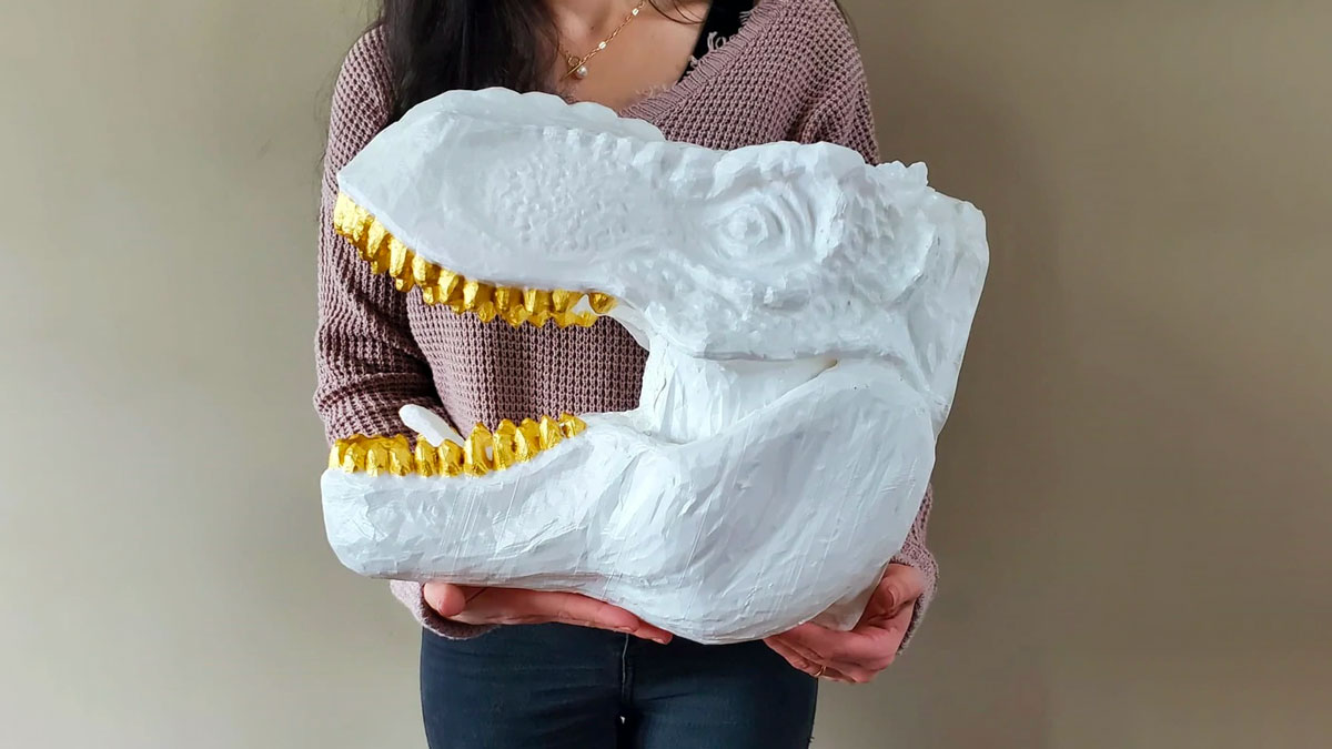 Enviroskulls