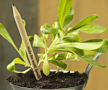 Sprout Plantable Graphite Pencils