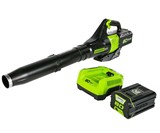 GreenWorks 145MPH Cordless Leaf Blower
