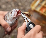 Switch - Customizable Pocket Knife