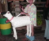 Top 10 Halloween Costumes - Sheep Shagger