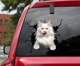 3D Animal Car Window Decals
