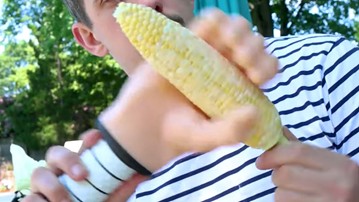 The Cob Quicky The Cob Quicky