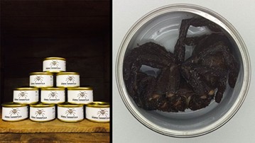 Edible Dehydrated Zebra Tarantula Edible Dehydrated Zebra Tarantula