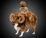 Star Wars Bantha Dog Costume