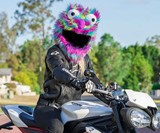 Furry Friends & Fiends Motorcycle Helmet Covers