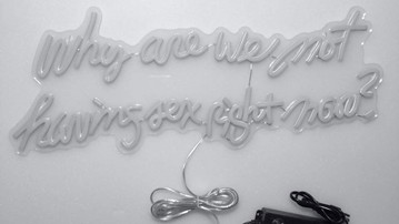 Why Are We Not Having Sex Right Now? Neon Sign