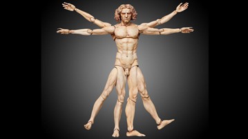 Vitruvian Man Action Figure Vitruvian Man Action Figure