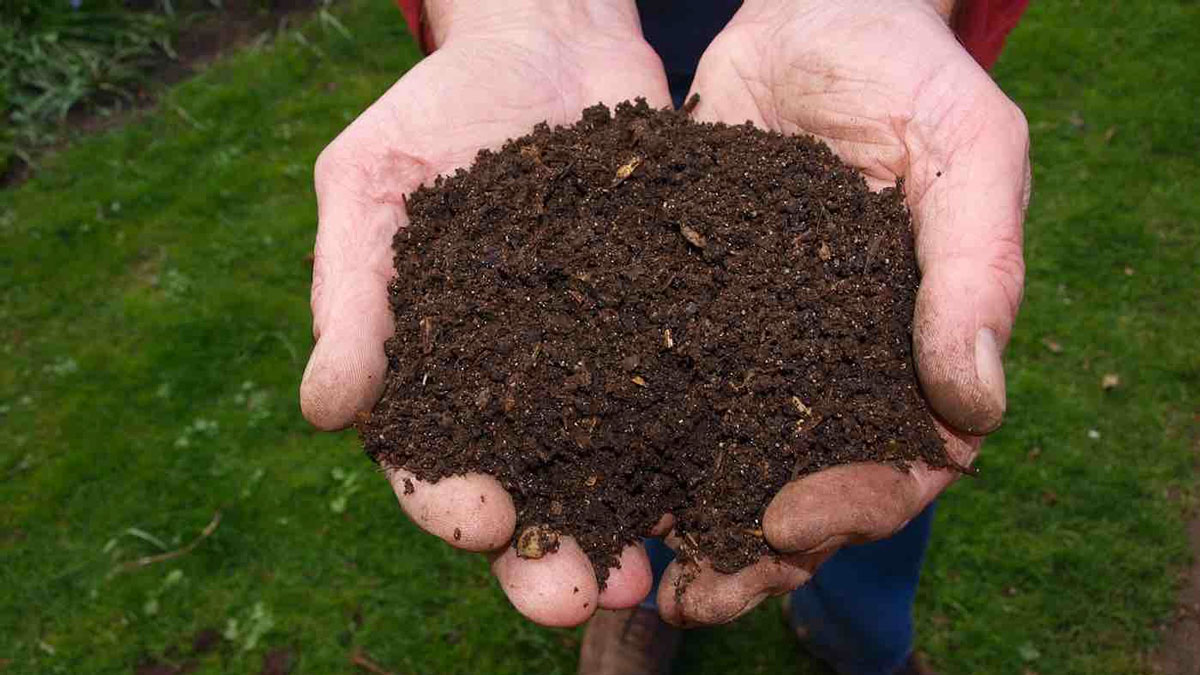 Recompose Human Body Composting Service Recompose Human Body Composting Service