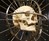 Craniometer