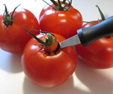 The Tomato Shark