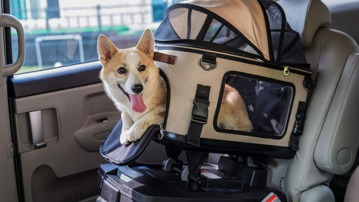 FOXBOX Pet Safety Car Seat