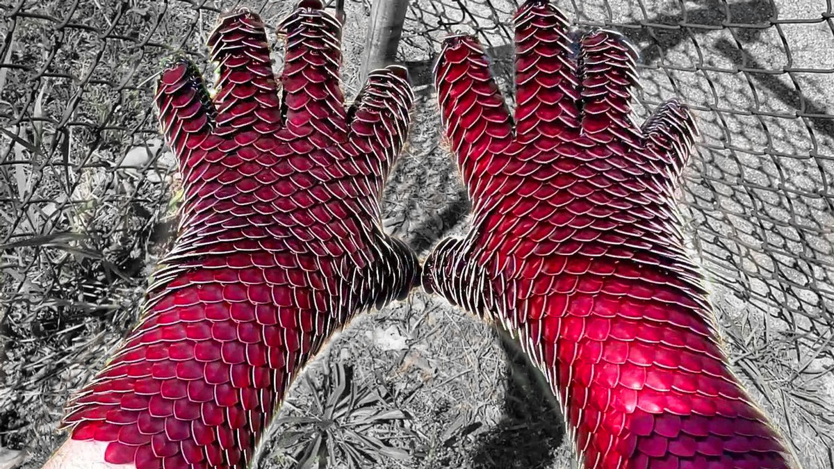 Dragonscale Gauntlets Dragonscale Gauntlets
