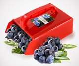 Berry Picker