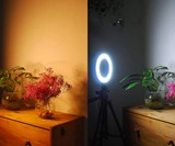 Flattering Video Chat & Meeting Ring Light