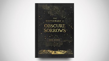Contemplative: The Dictionary of Obscure Sorrows Contemplative: The Dictionary of Obscure Sorrows
