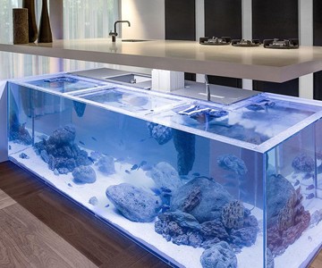 Ocean Kitchen - Aquarium Island