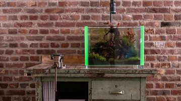Voodoo Tanks - Aquariums with Glowing Edges Voodoo Tanks - Aquariums with Glowing Edges