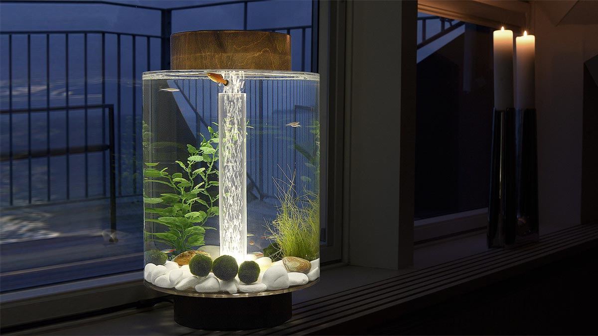 Norrom Freshwater Aquarium Norrom Freshwater Aquarium